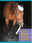 Get Well Soon Horse Card