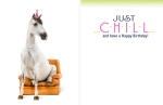 Birthday Card: Horse In Chair Chill