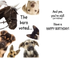 Birthday Card: The Barn Voted...