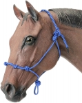 Knotted Rope & Twisted Crown Training Halter