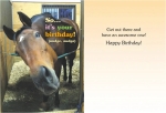 Birthday Card: So it's your birthday!