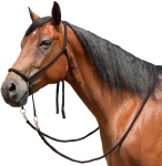 Tory No-Bit Rope Bridle