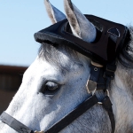Horse Helmet
