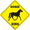 Horse Xing